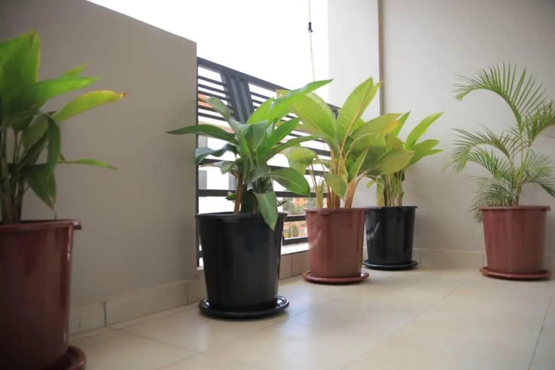 Urban Two Br Condo Near Najjera Hospital كامبالا 0*,